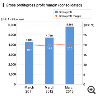 Gross profit/gross profit margin (consolidated)